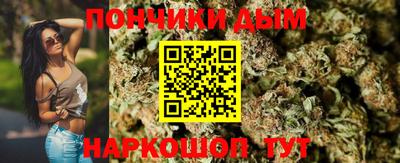 дмт Славгород