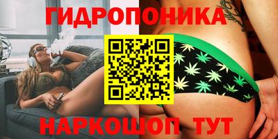 крисы Сланцы