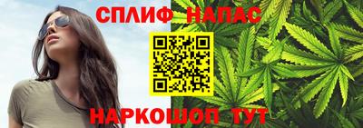 дмт Славгород