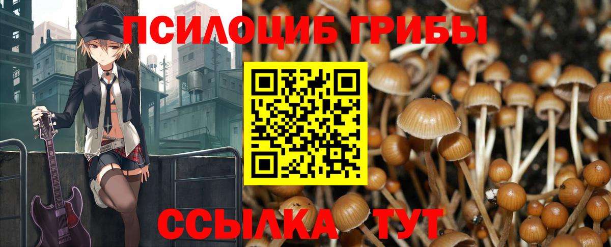 Псилоцибиновые грибы ЛСД Отрадное