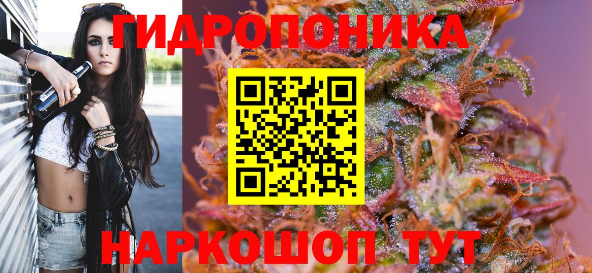 Конопля планчик Отрадное